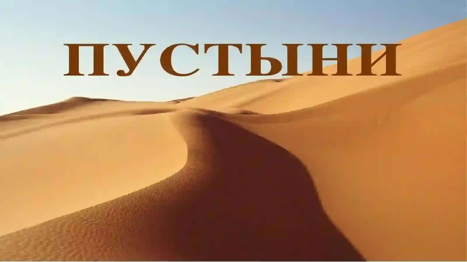 Umumiy ta'lim maktablarida boshlang'ich sinf o'qituvchisi 2