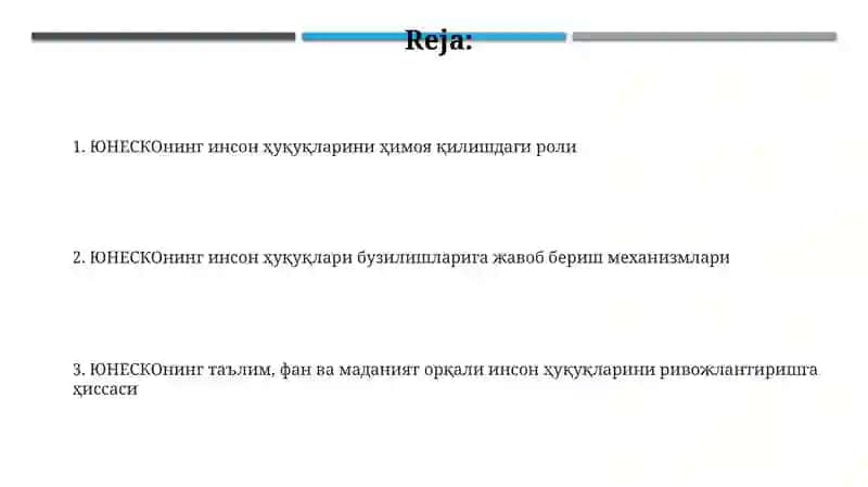 ЮНЕСКОнинг инсон ҳуқуқларини ҳимоя қилишдаги о'рни 2