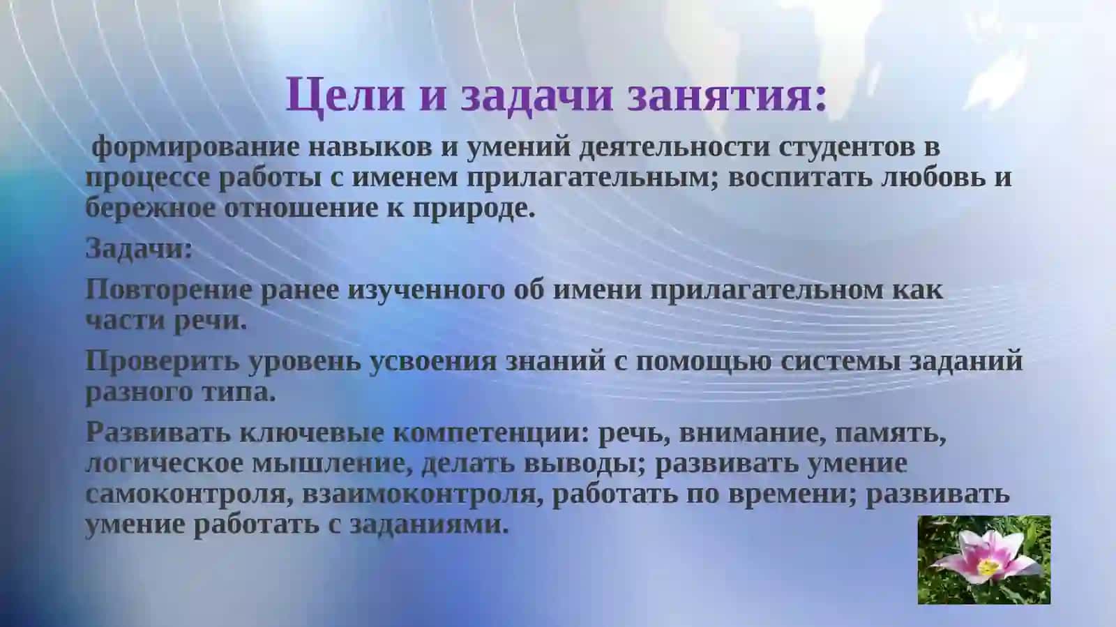 Имя прилагательное 2