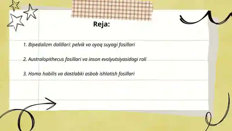 Odamlar paydo bo'lishini isbotlovchi paleontalogik dalillar 2