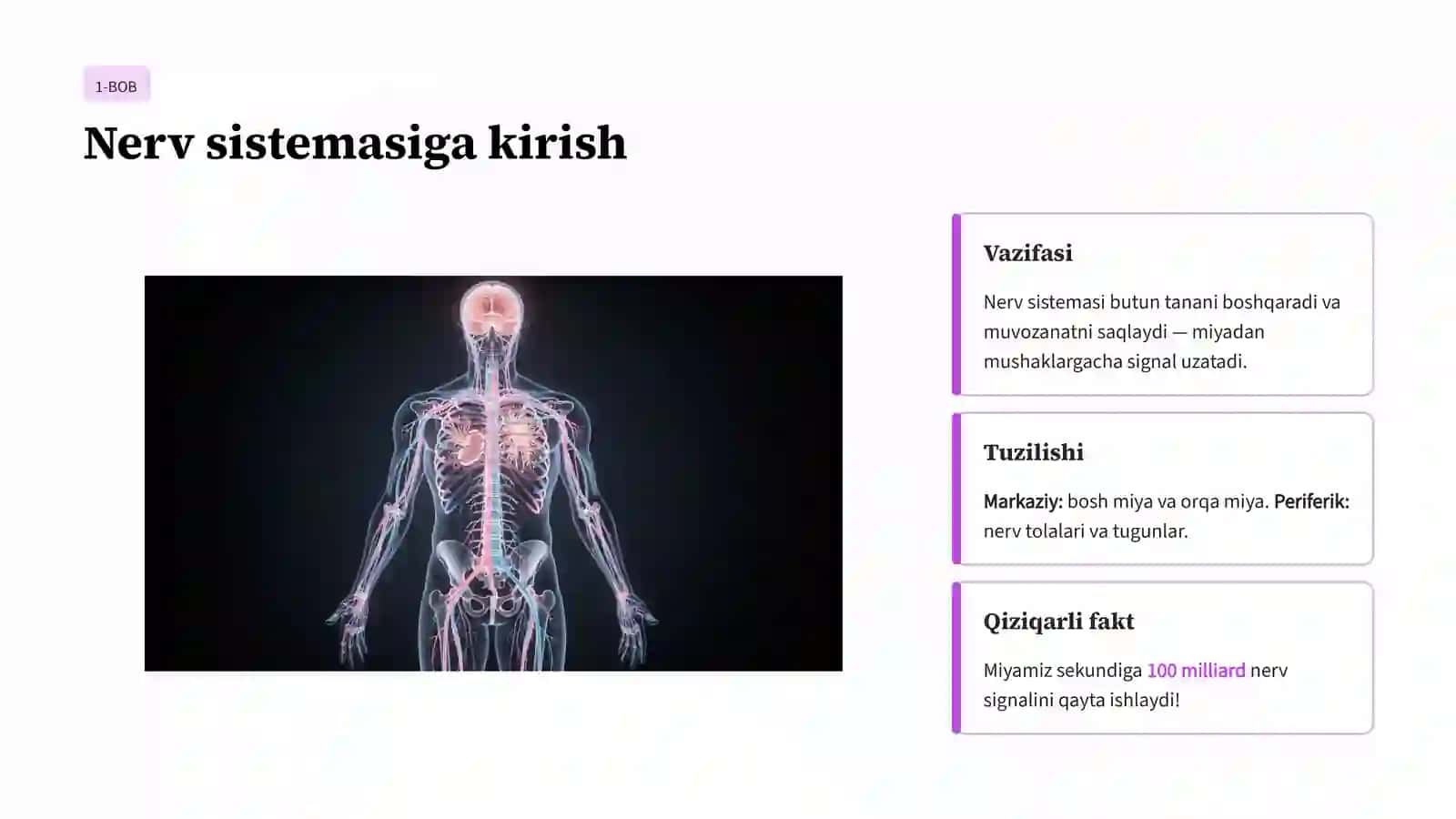 Nerv sistemasining kasalliklari va ularning oldini olish 2