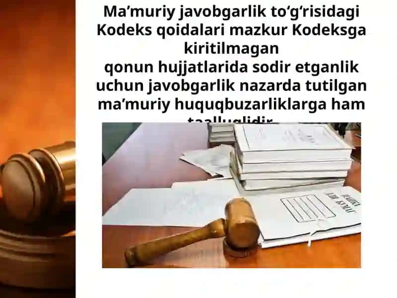 MA'MURIY JAVOBGARLIK 2