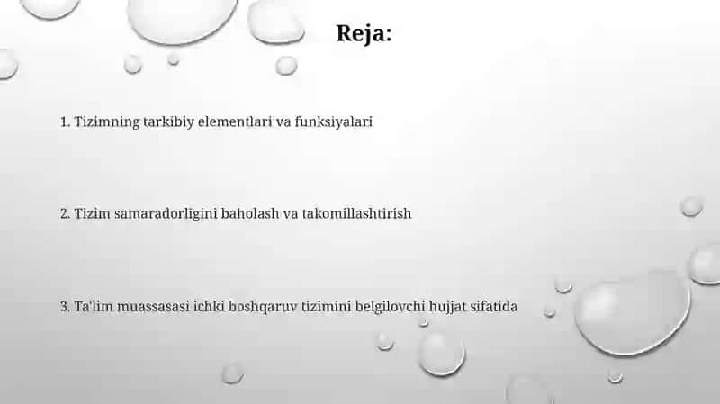 Ichki boshqaruv tizimi 2