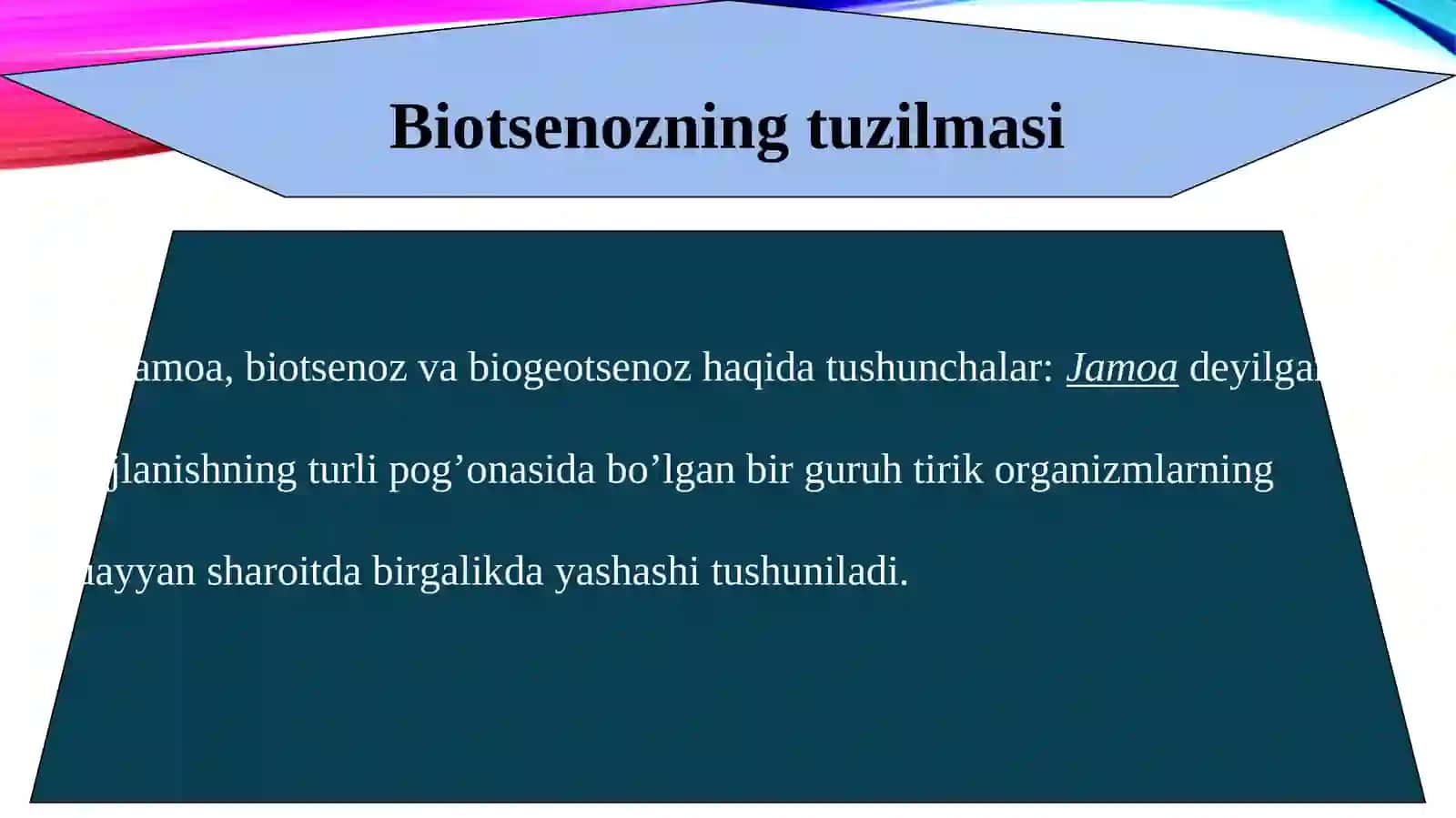 Biotsenozning tuzilmasi 2