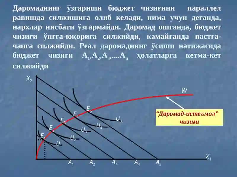 Даромад-истеъмол чизиғи ва унинг таҳлили 2