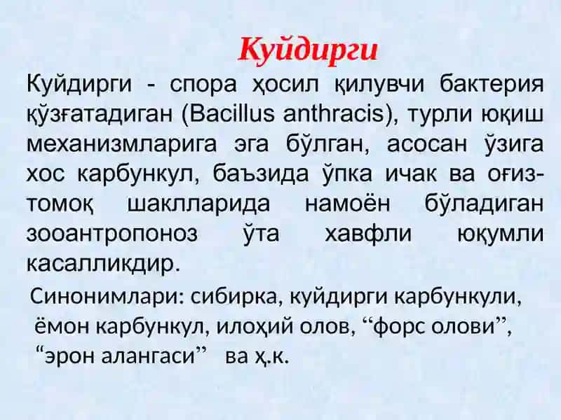 Куйдирги (Anthrax) 2