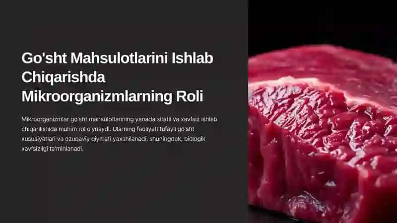 Go'sht Mahsulotlarini Ishlab Chiqarishda Mikroorganizmlarning Roli 2