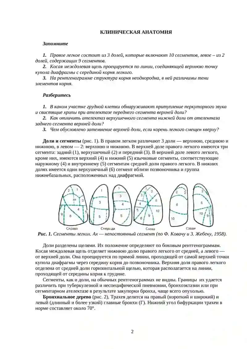 Рак легкого 2
