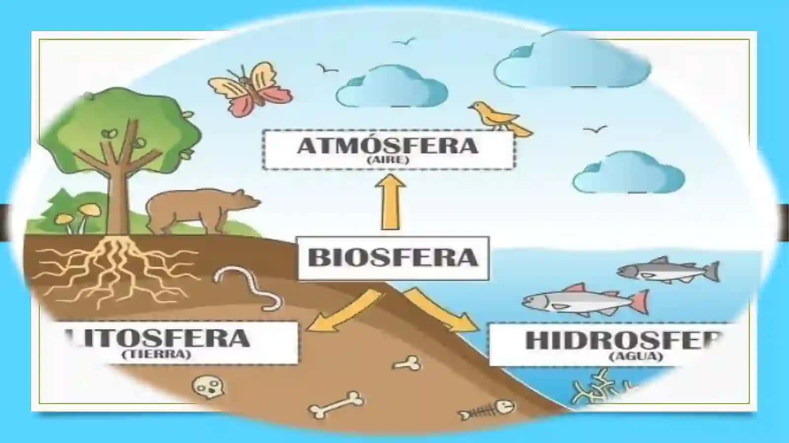 Mavzu: Biosfera haqida tushuncha. Vernadskiy ta’limoti, noosfera 2
