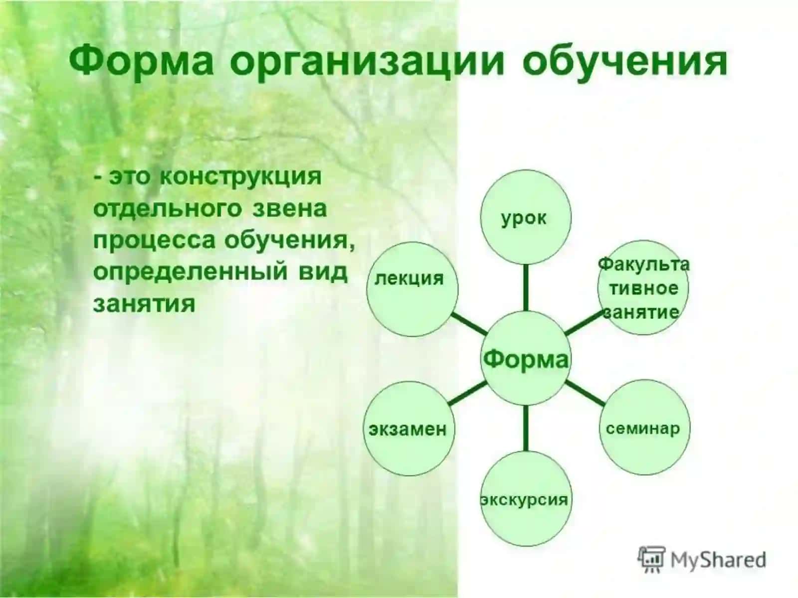 Особенности современной организации учебного процесса 2