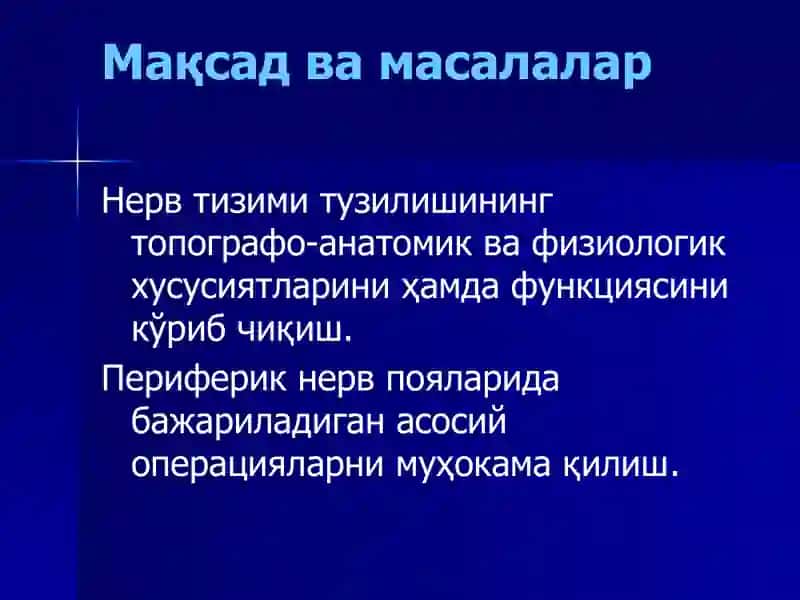 Нерв системаси анатомияси ва операциялар 2