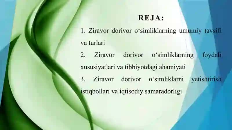 Istiqbolli ziravor dorivor oʻsimliklar 2