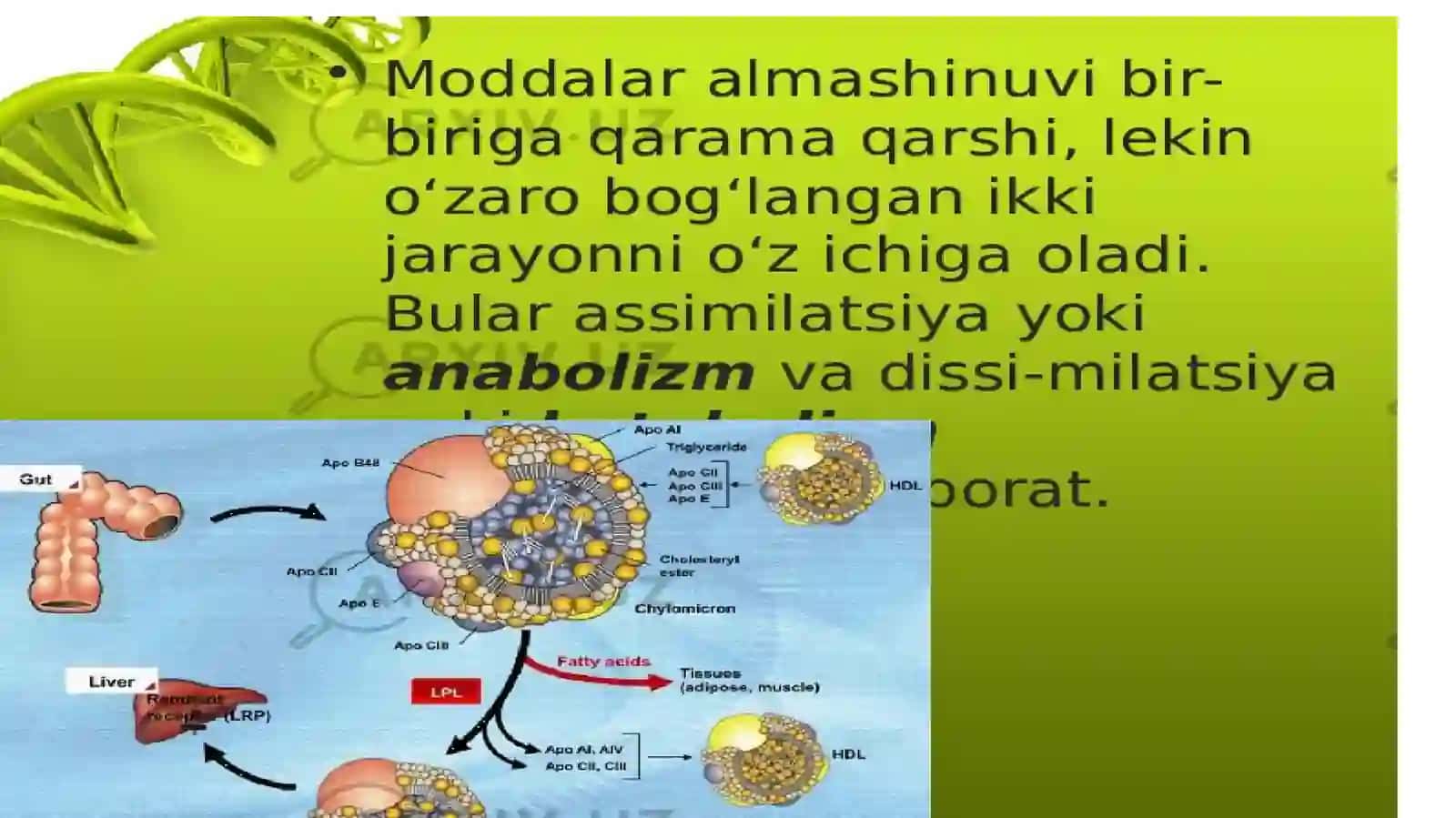 Metabolizm jarayonida energiya hosil bo'lishi va sarflanishi 2