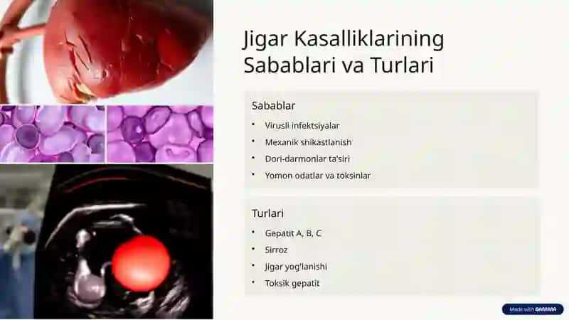 Jigar Faoliyatiga Ta'sir Etuvchi Vositalar va Gepatoprotektorlar 2