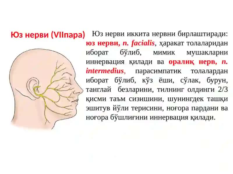 Юз нерви зарарланиши 2