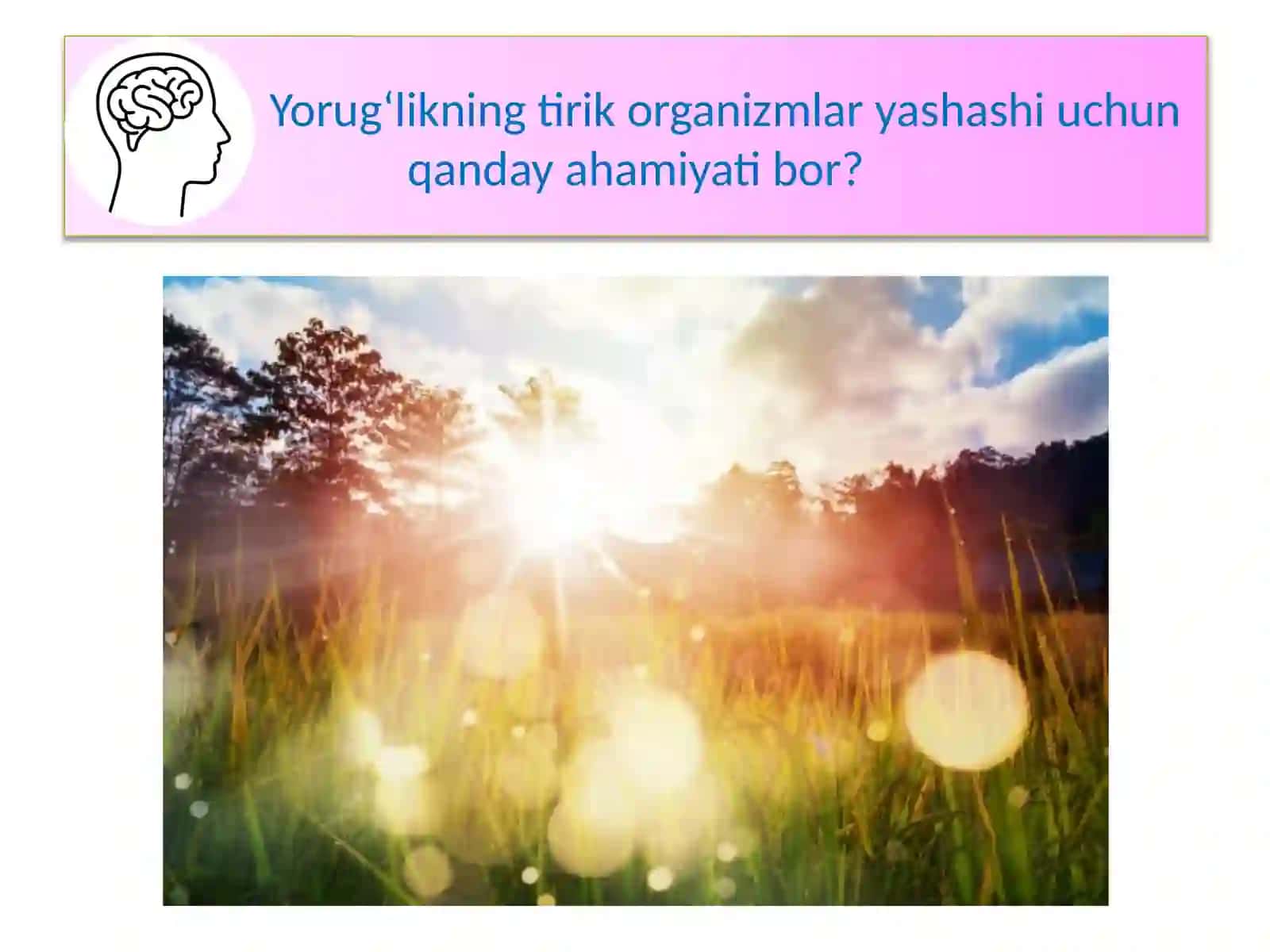 Yorug‘lik hodisalari 2