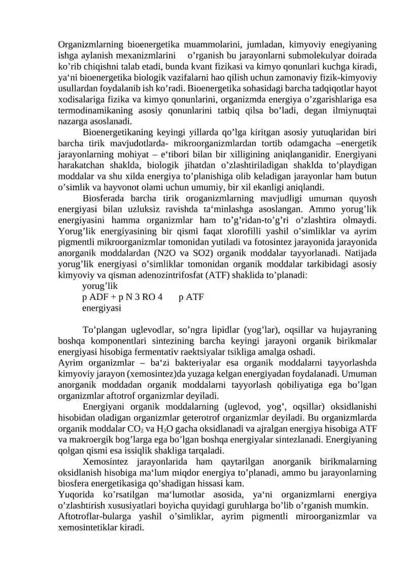 Bioenergetika 2