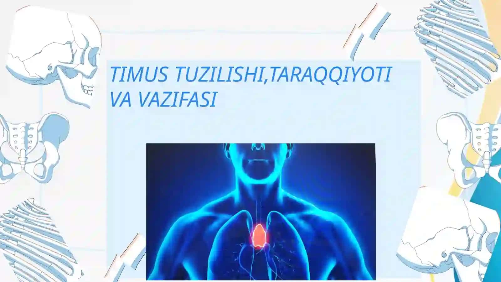 Ruxshona Xolmatovaning Odam Anatomiyasi Fanidan Tayyorlagan Mustaqil Ishi 2