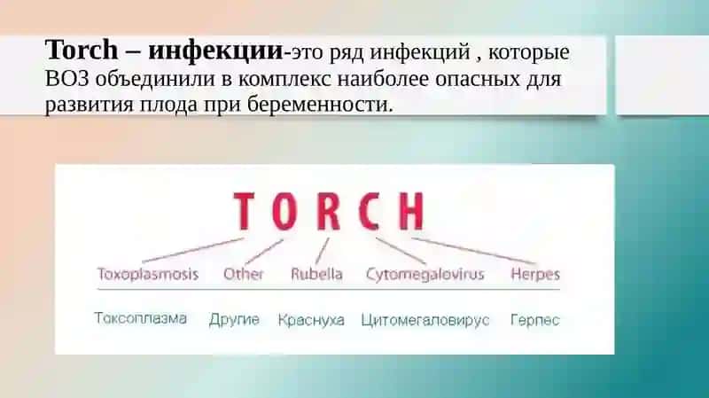 TORCH-ИНФЕКЦИИ: КЛИНИЧЕСКАЯ ДИАГНОСТИКА ИЭТИОЛОГИЧЕСКАЯ ВЕРИФИКАЦИЯ 2
