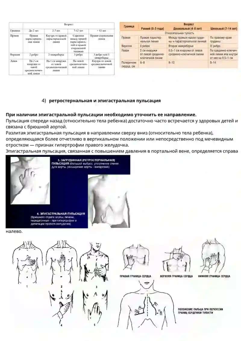 СЕРДЕЧНО-СОСУДИСТАЯ СИСТЕМА 2
