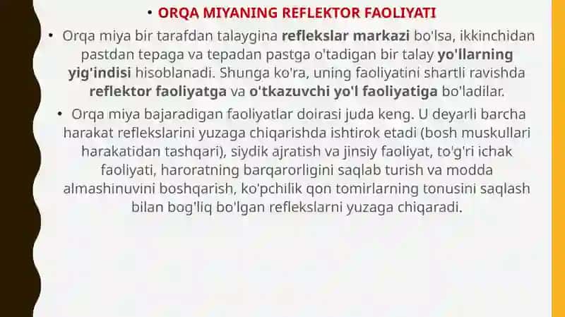 Orqa Miya 2