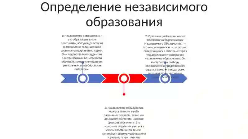 Организация Независимого Образования 2