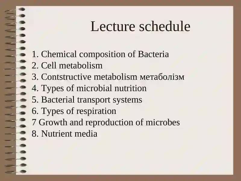 Physiology of Bacteria 2