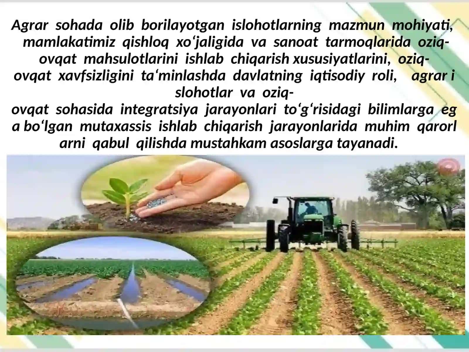 Agrar siyosat va oziq - ovqat xavfsizligini ta‘minlashda xalqaro tashkilotlarning ahamiyati 2