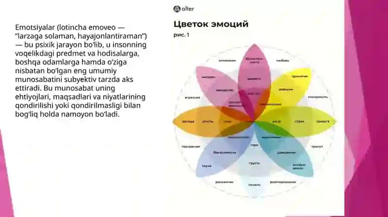 Emotional reaksiyalarning neyrofiziologik va biokimyoviy asoslari 2