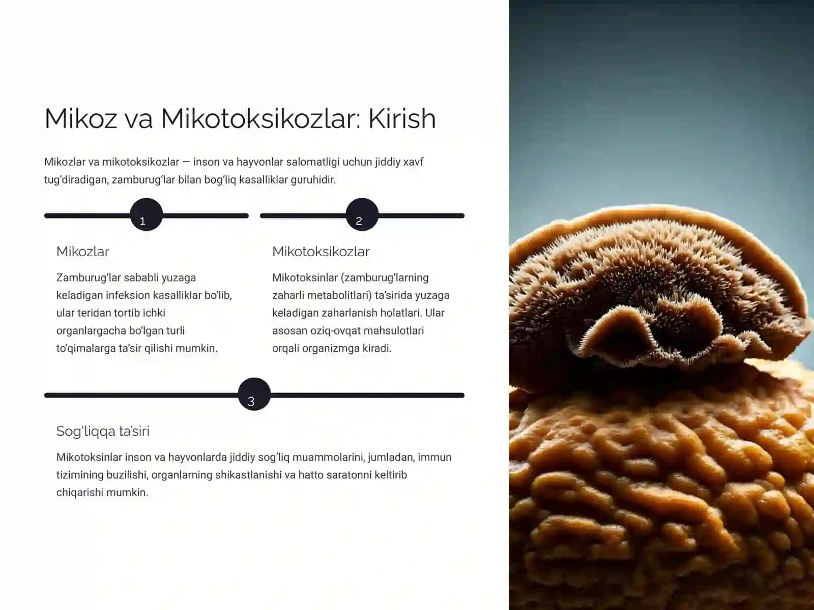 Mikoz va Mikotoksikozlar Patomorfologiyasi 2