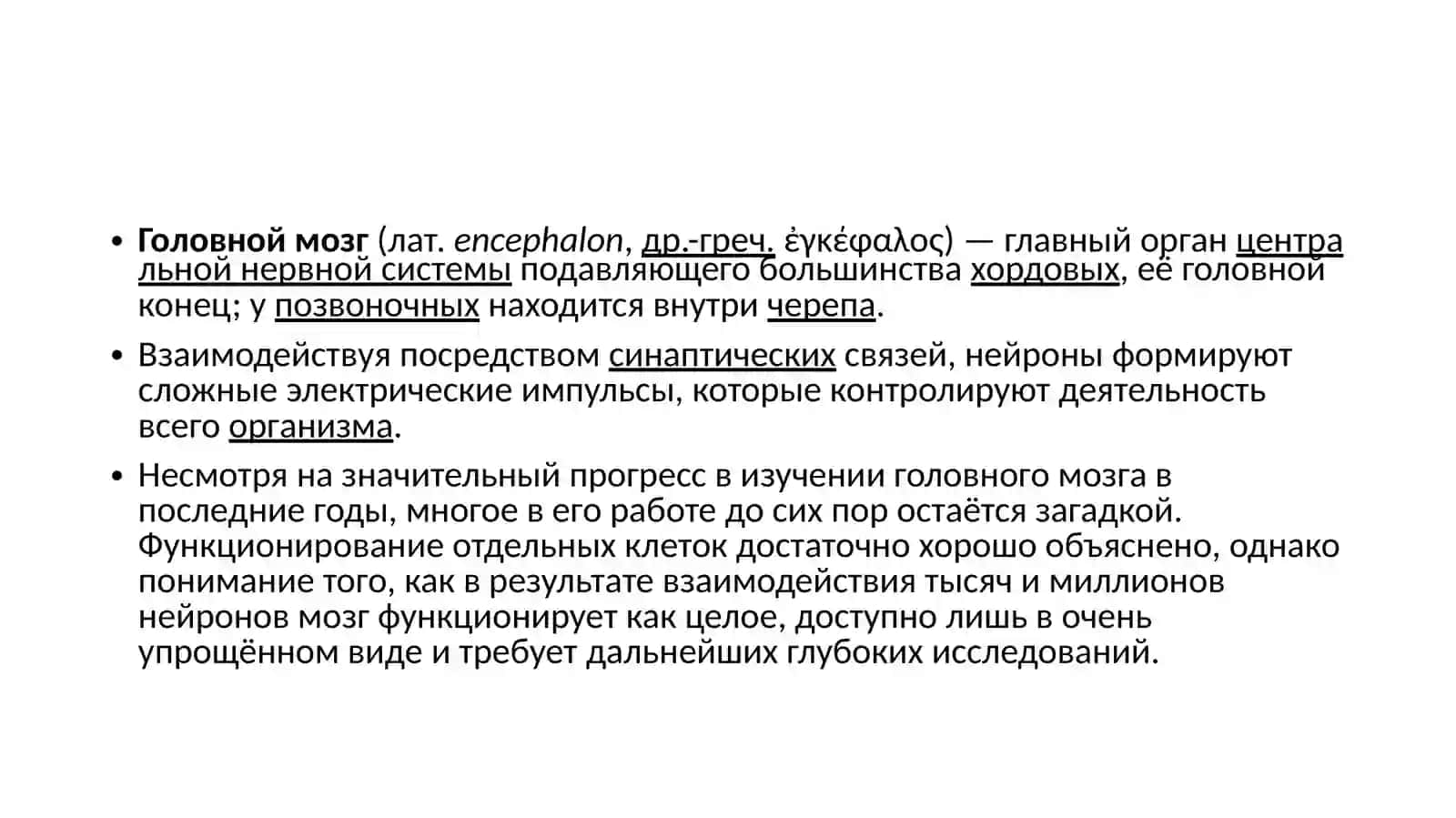 Головной мозг 2