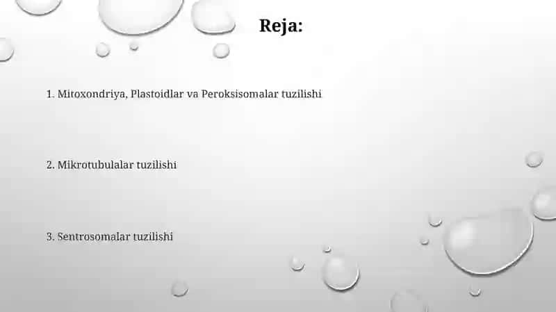 Mitoxondriya, Plastoidlar va Peroksisomalar tuzilishi 2