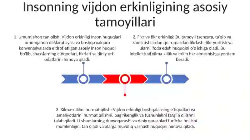 Insonning Vijdon Erkinligi Va Saylov Huquqi 2