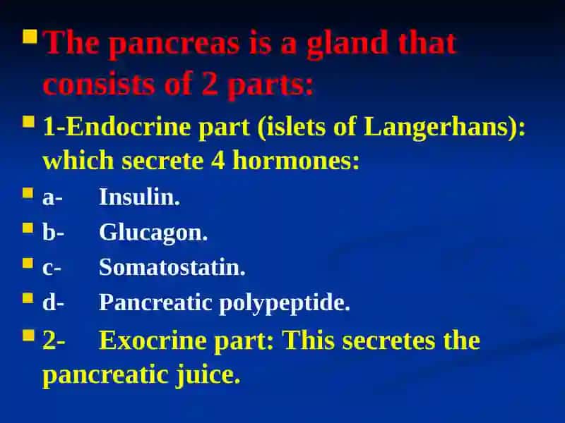 The Pancreas 2