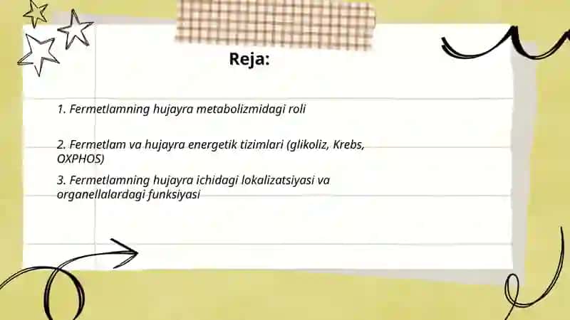 Fermetlamning hujayra ishidagi roli 2