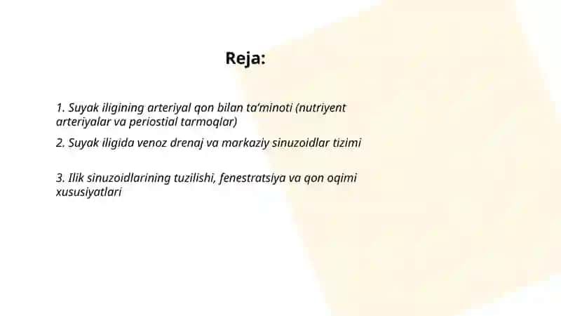 Qon. Qon yaratuvchi aʼzolarning qon bilan taʼminlanishi 2