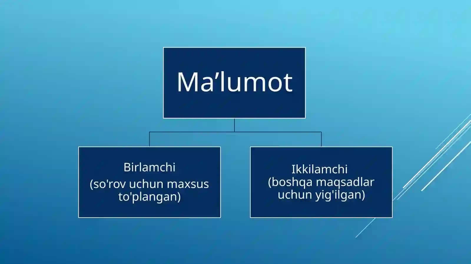 Ma’lumot manbalari 2