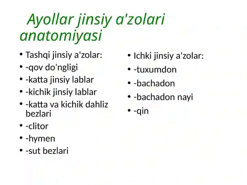 Ayollar jinsiy organlari klinik anatomiyasi 2