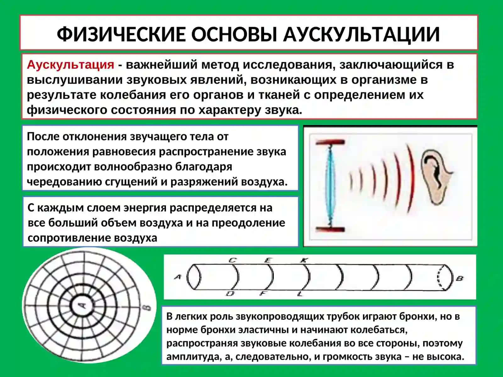 ФИЗИЧЕСКИЕ ОСНОВЫ АУСКУЛЬТАЦИИ 2