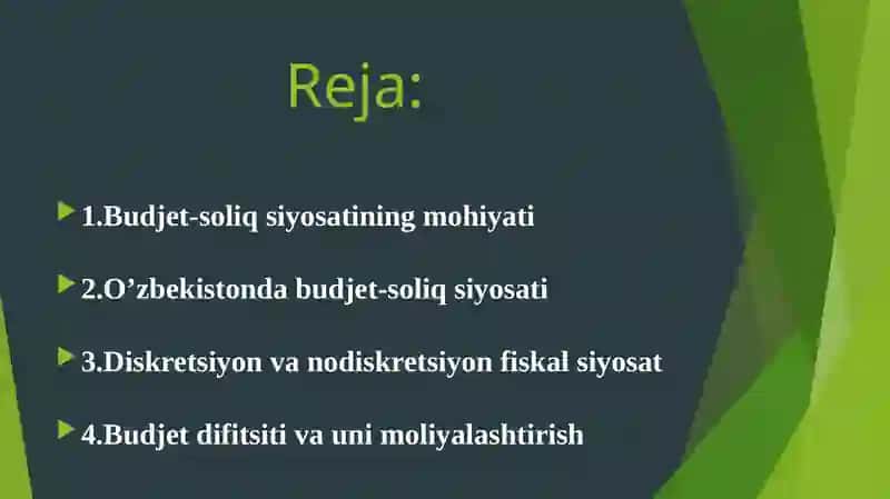 Budjet-soliq siyosati 2