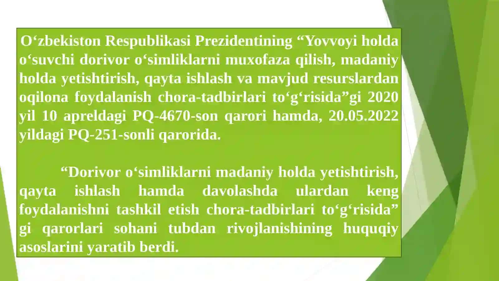 ZAYTUN (OLEA EUROPAEA L.) O‘SIMLIGINING KO’CHATCHILIGI 2