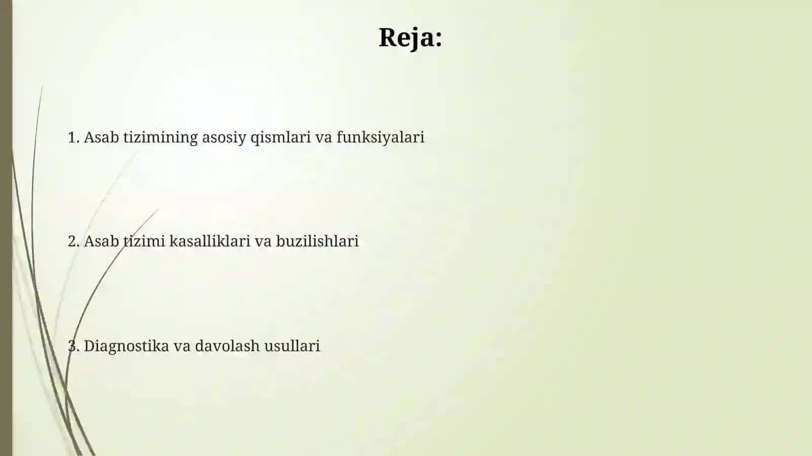 Nerv sistemasi 2