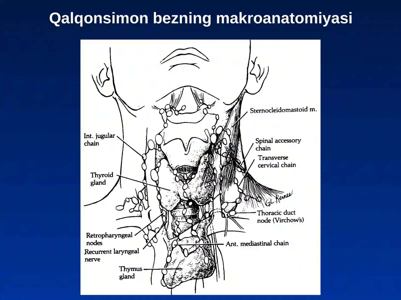 Qalqonsimonbezning yodyetish movchiligibilan bog`liq kasalliklari 2