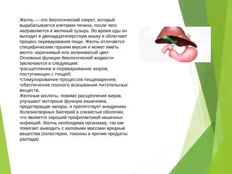 Желчегонные средства 2