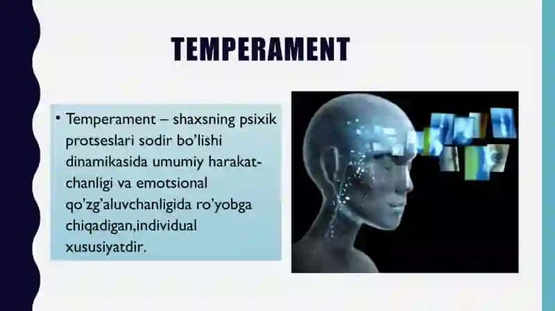 TEMPERAMENT 2