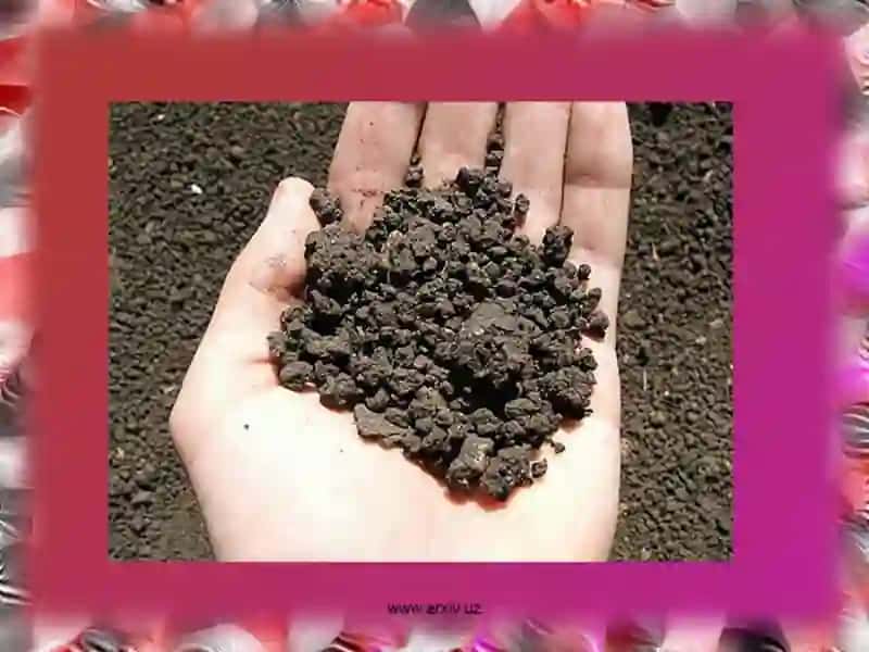 Zaharli va texnogen chiqindilar bilan ifloslanishi 2