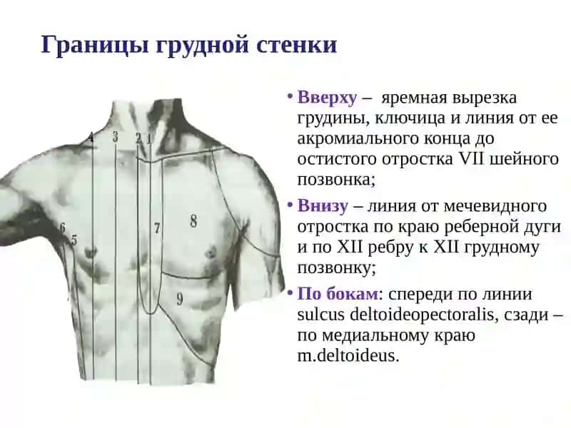 ОПЕРАЦИИ ПРИ ВРОЖДЕННЫХ 2