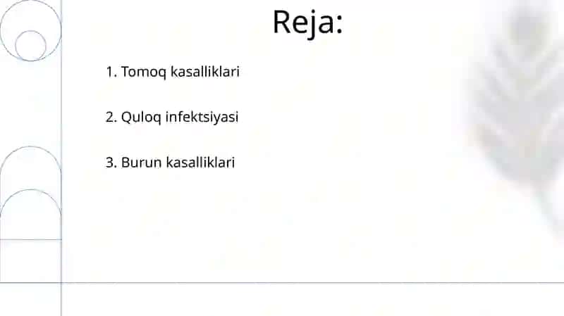 O't - tosh kasalliklari 2