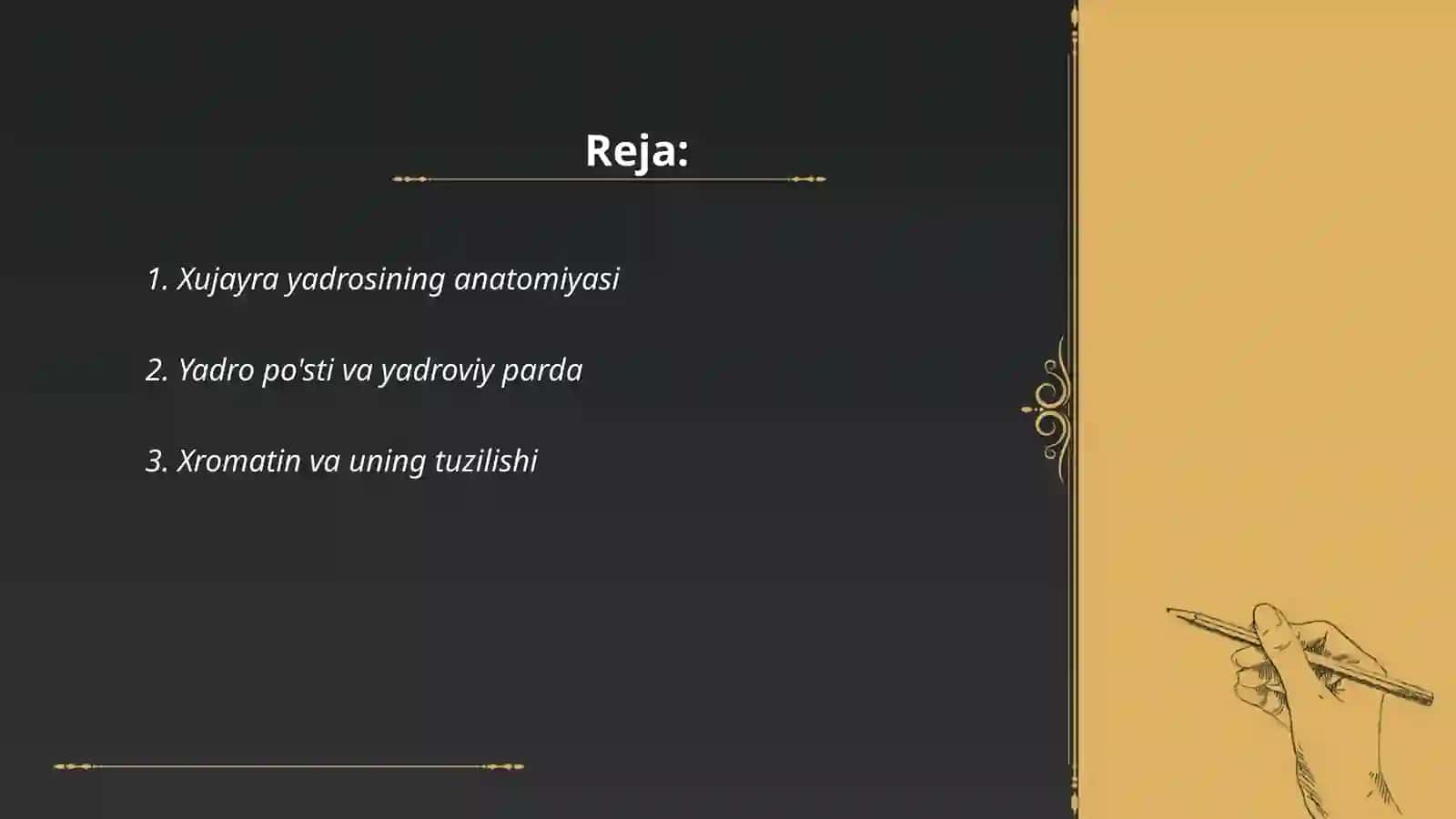 Xujayra yadrosining tuzilishi va funksiyasi 2