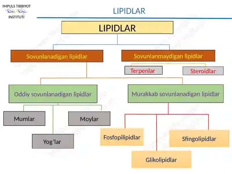 Lipidlar 2